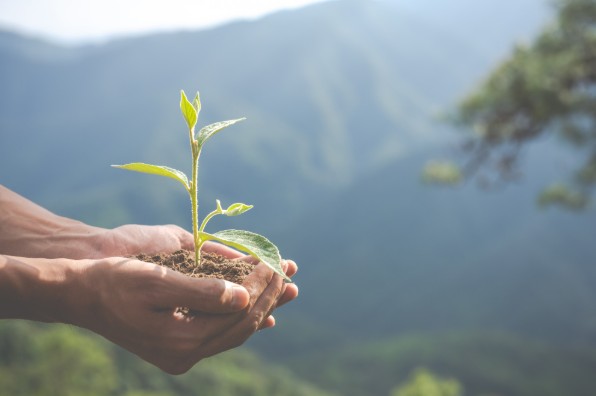 sustentabilidade no processo de coleta
